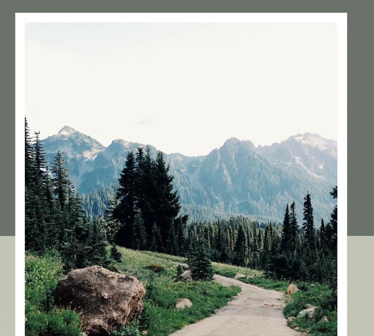 Tools For A Deeper Understanding Of The Bible